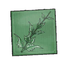 Dappled Shadowmint Seed Packet