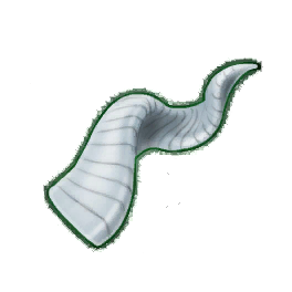 Robust Goat Horn (Brewed)