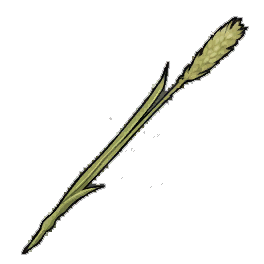Wind Grass
