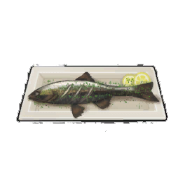 Stout Poached Trout