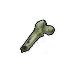 Weathered Femur Shard