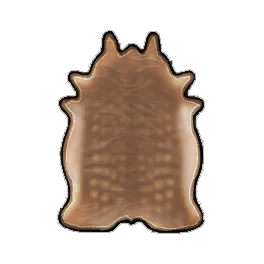 Superior Deer Leather