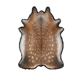 Perfect Deer Hide