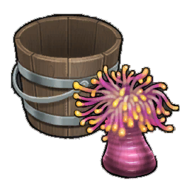 Riterri Anemone