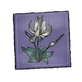 Cloudy Duskbloom Seed Packet