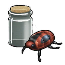 Dark Ruby Beetle