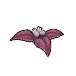 Blood Nettle