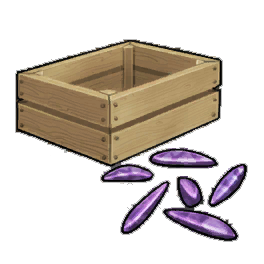 Violet Purpladium