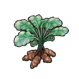 Galimeer Potato