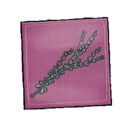 Nuther Thyme Seed Packet