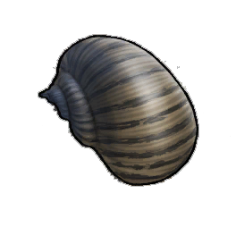 Helmet Shell