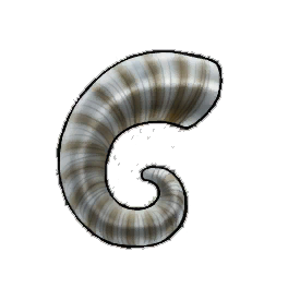 Chunky Rams Horn