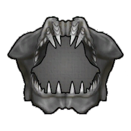 Iron Jaw Shark Jaw