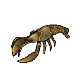 Biscuit Lobster