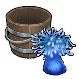Starburst Anemone