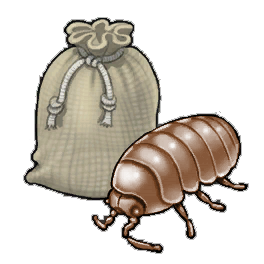 Bark Louse