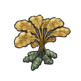 Greengrail Potato
