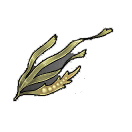 Bladder Wrack