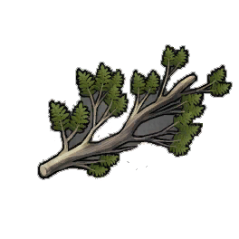 Average Cypress Branches