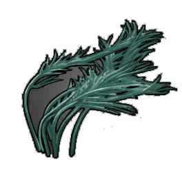 Slimy Pond Weed