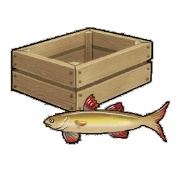 Western Sturlet