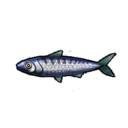 Blue Sardines