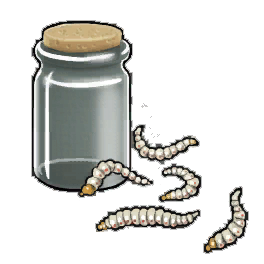 Pasty Maggots