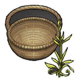 Paragon Tarragon