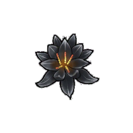 Almost Black Water Lily