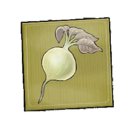 Flexhair Beetroot Seed Packet