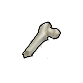 Exquisite Femur Shard