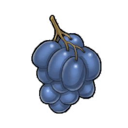 Marietta Grapes