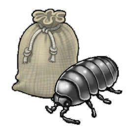 Shadow Louse