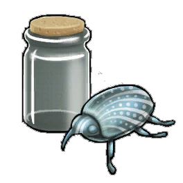 Salt Beetle