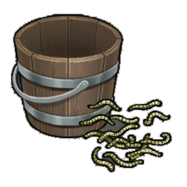 Compost Worms