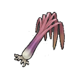 Ostentatious Leek