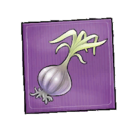 Elephant Garlic Seed Packet