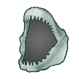 Gray Shark Jaw (Brewed)