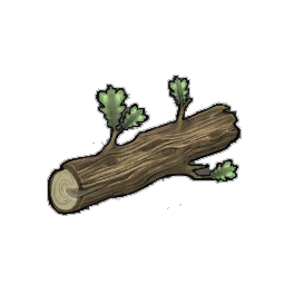 Moderate Oak Log