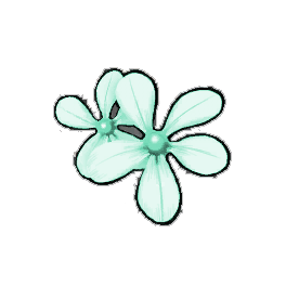 Brannof Periwinkle