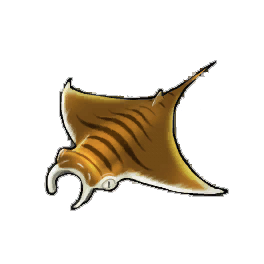 Tiger Ray