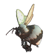 Libee
