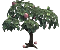Nanny Jones Apple
