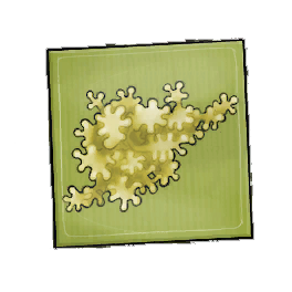 Saxe Geckoplant Seed Packet