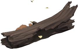 Moth Ridden Log