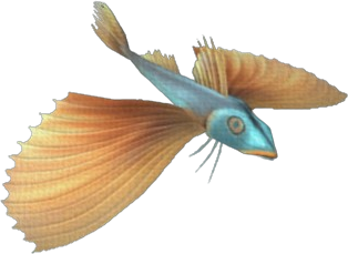 Shiny Gurnard