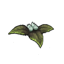 Harshvenom Nettle