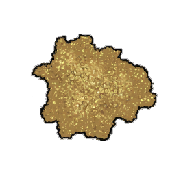 Gold Coin Dust