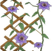 Vibrant Wallplant