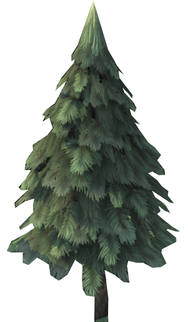 Pine Tree (perfect)